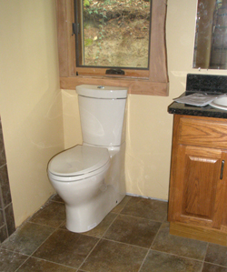 Kohler dual-flush toilet